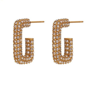 Icy G's Earrings