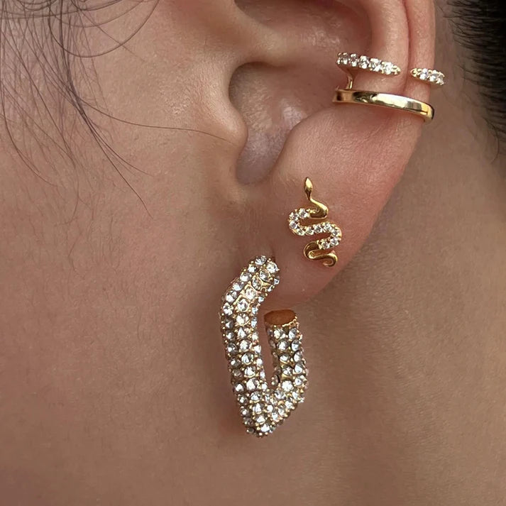 Icy G's Earrings